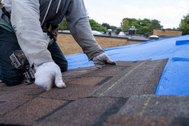 Best Storm Damage Roof Repair  in Bronte, TX