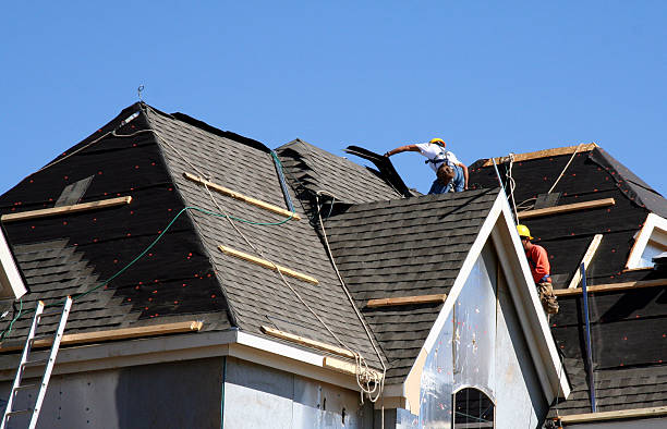 Best Roof Maintenance Services  in Bronte, TX