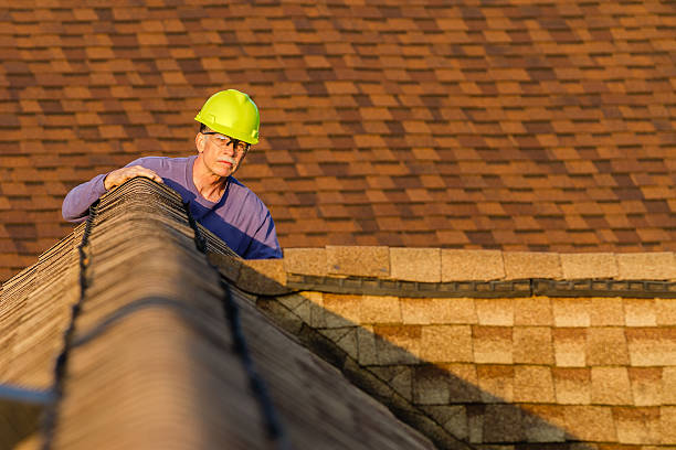 Best Metal Roofing Contractor  in Bronte, TX